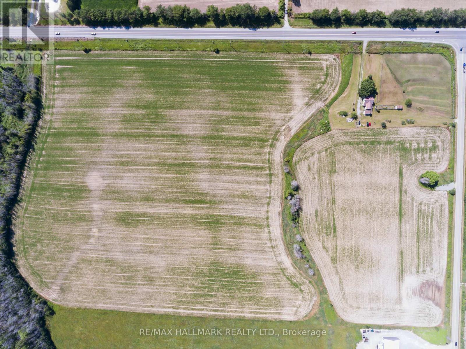 29018 Highway 48, Georgina, Ontario  L0E 1N0 - Photo 5 - N11914628