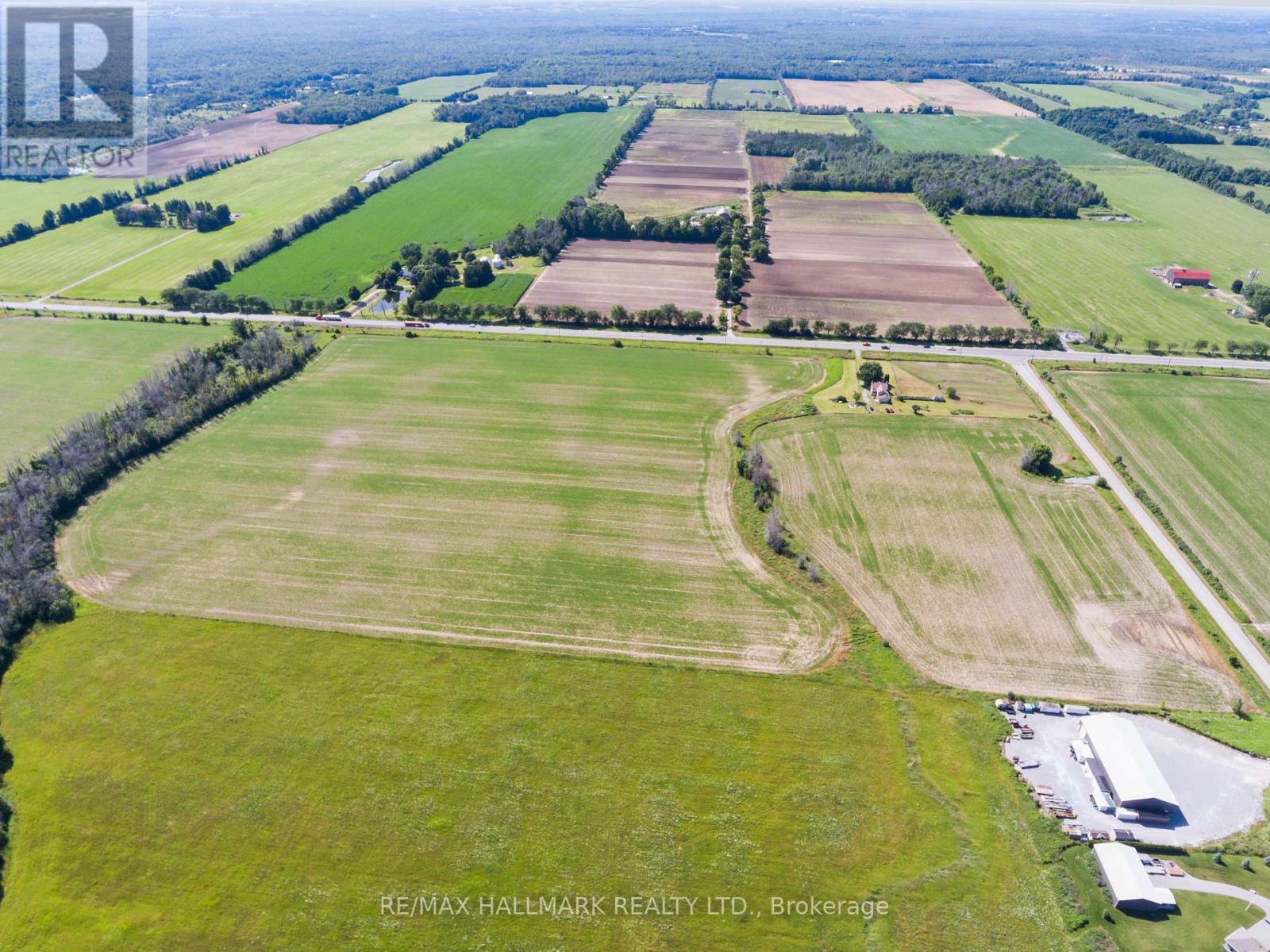 29018 Highway 48, Georgina, Ontario  L0E 1N0 - Photo 6 - N11914628