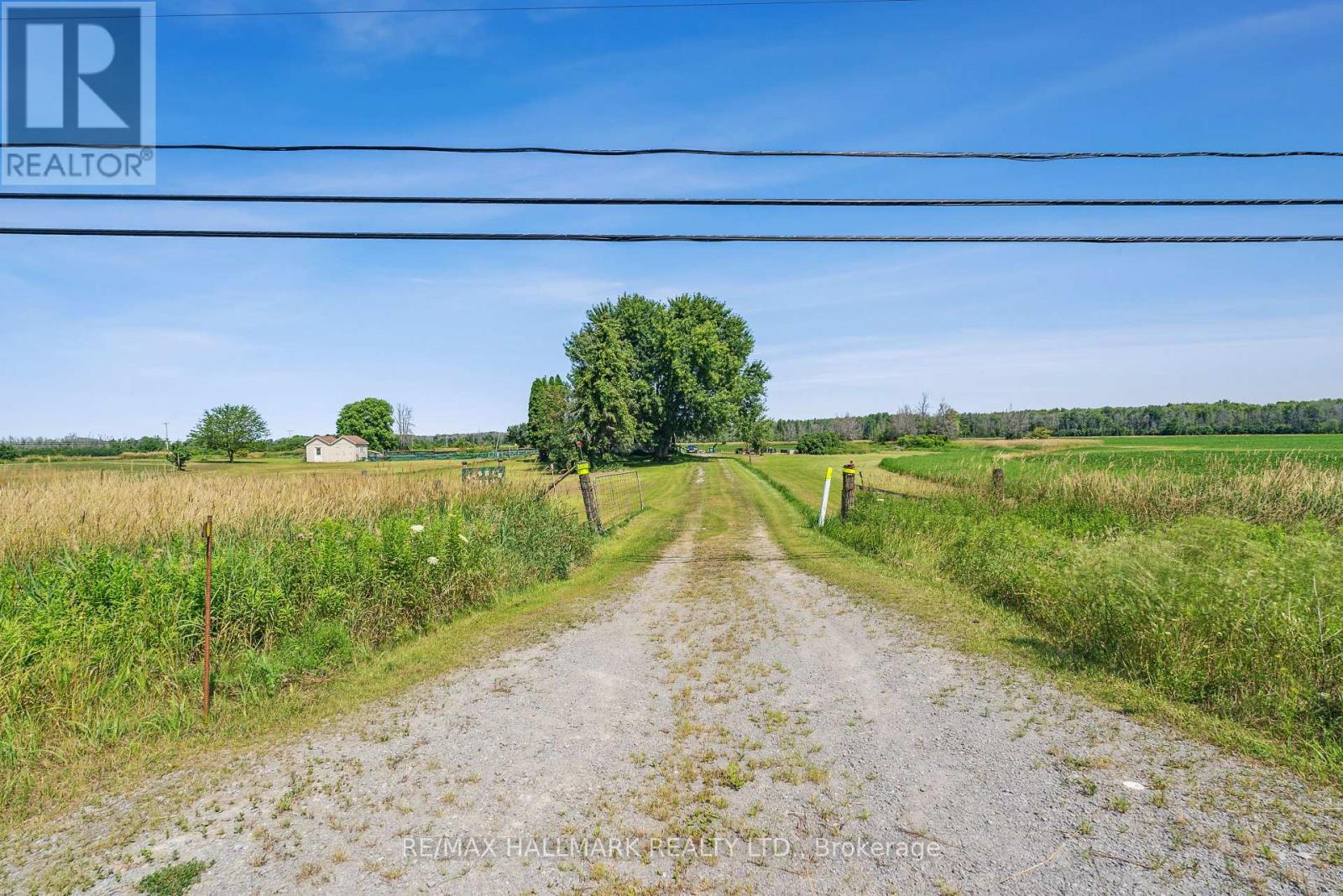 29018 Highway 48, Georgina, Ontario  L0E 1N0 - Photo 8 - N11914628