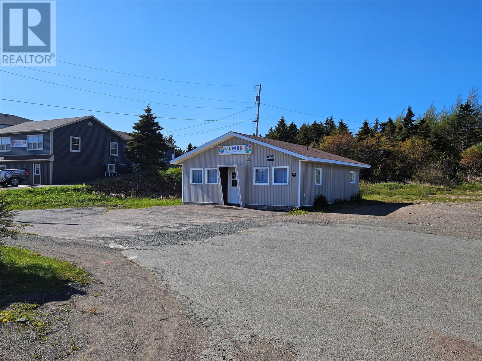 230 Ville Marie Drive, Marystown, Newfoundland & Labrador  A0E 2M0 - Photo 4 - 1272816