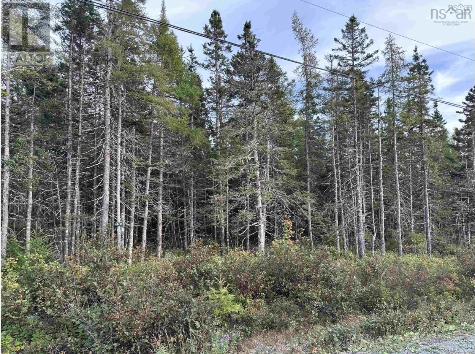 Point View Road, Louisdale, Nova Scotia  B0E 1V0 - Photo 2 - 202421541