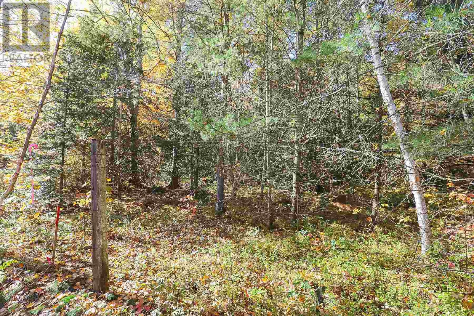 Lot 17 Nokomis Beach Rd, Sault Ste. Marie, Ontario  P6A 5K6 - Photo 14 - SM250055