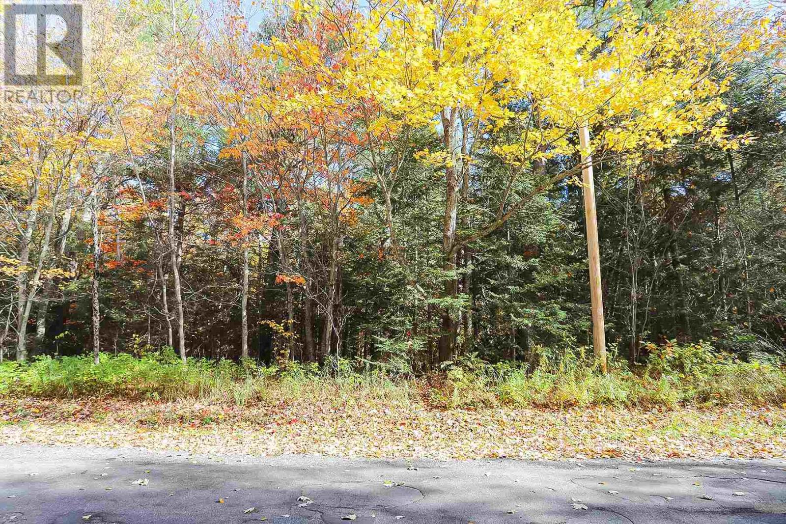 Lot 17 Nokomis Beach Rd, Sault Ste. Marie, Ontario  P6A 5K6 - Photo 4 - SM250055