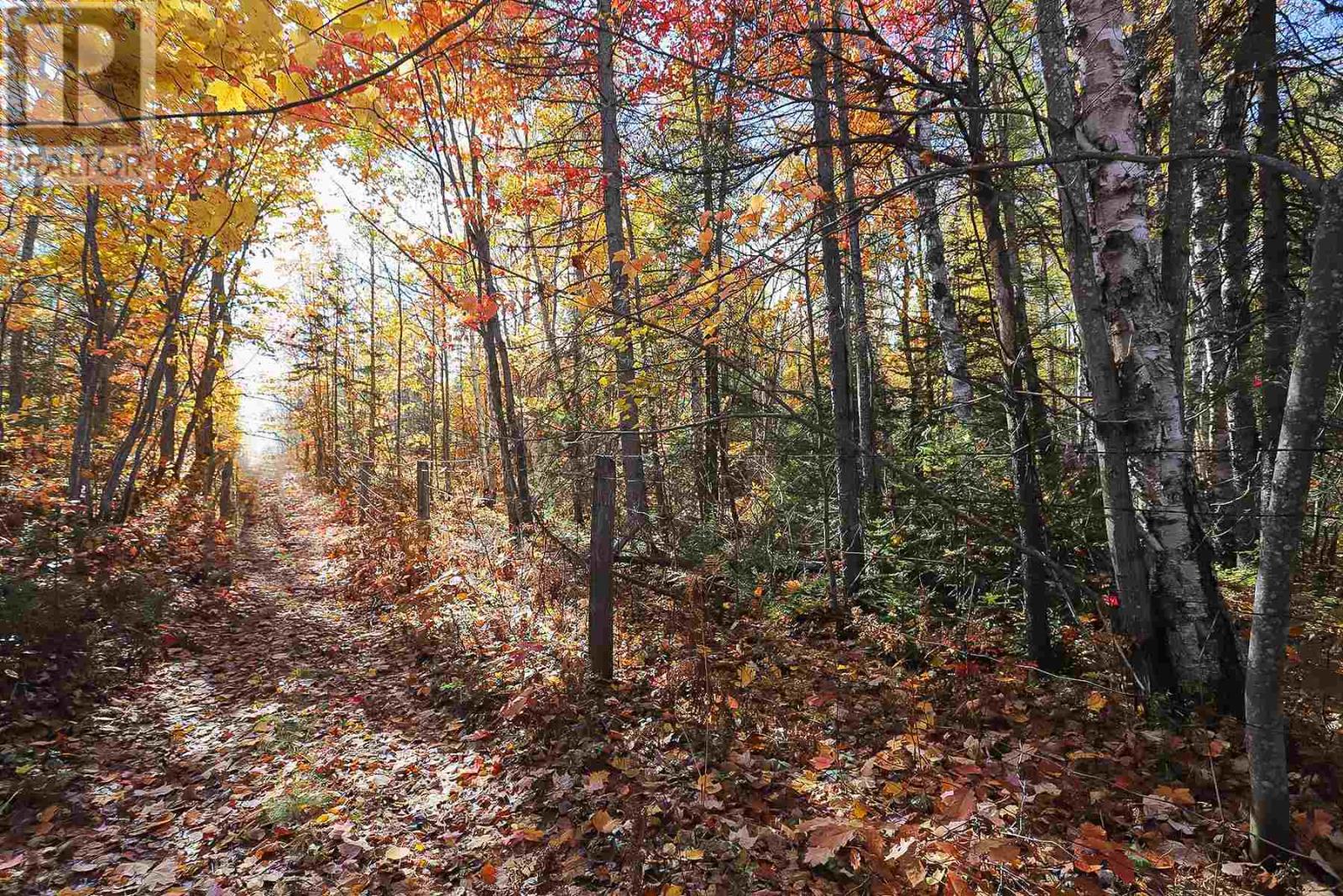 Lot 19 Nokomis Beach Rd, Sault Ste. Marie, Ontario  P6A 5K6 - Photo 5 - SM250059