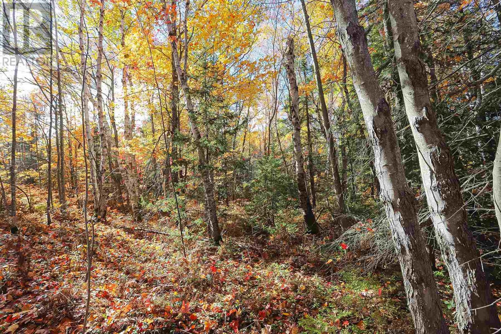 Lot 19 Nokomis Beach Rd, Sault Ste. Marie, Ontario  P6A 5K6 - Photo 6 - SM250059