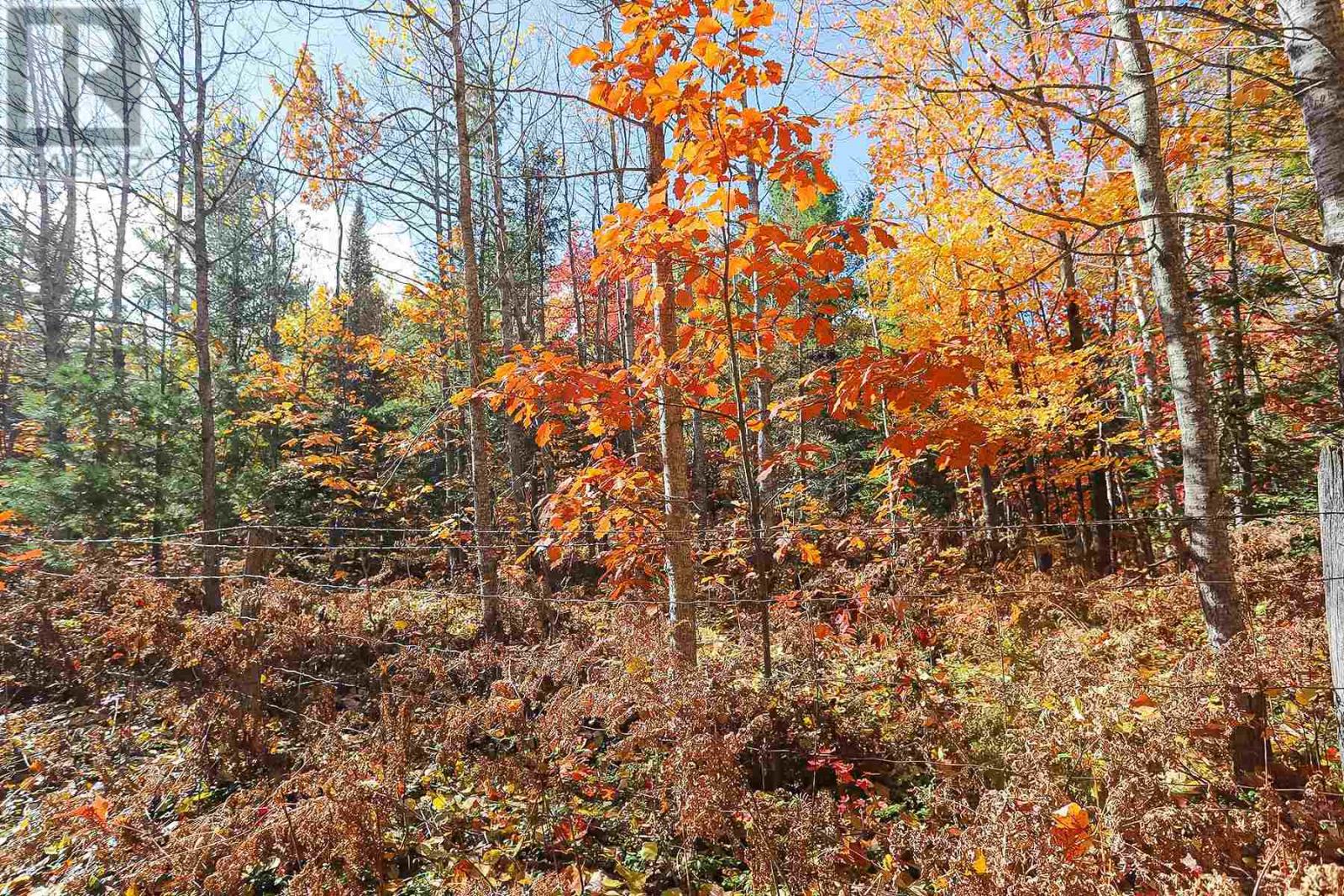 Lot 19 Nokomis Beach Rd, Sault Ste. Marie, Ontario  P6A 5K6 - Photo 9 - SM250059