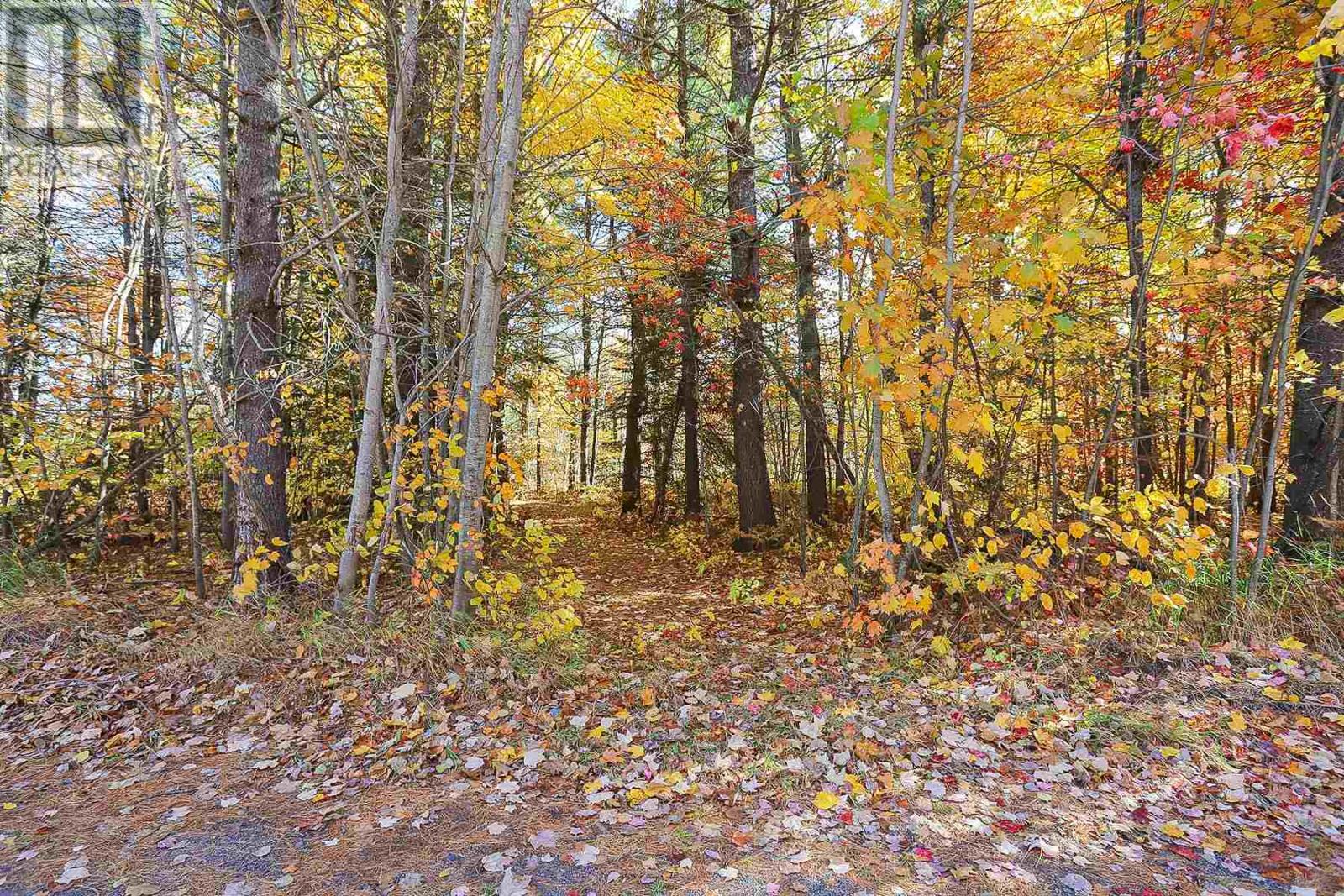 Lot 14&15 Nokomis Beach Rd, Sault Ste. Marie, Ontario  P6A 5K6 - Photo 4 - SM250061