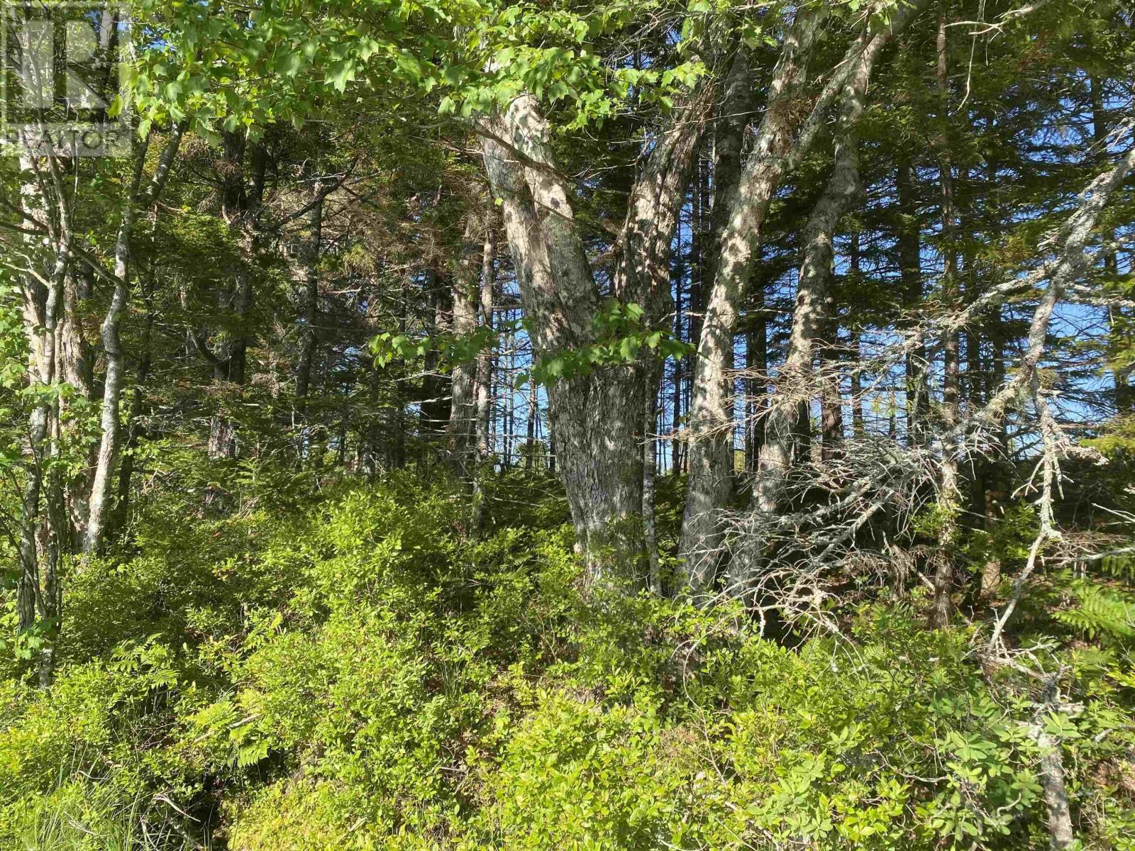Lot Bull Lake Road, Concession, Nova Scotia  B0W 1M0 - Photo 10 - 202500521