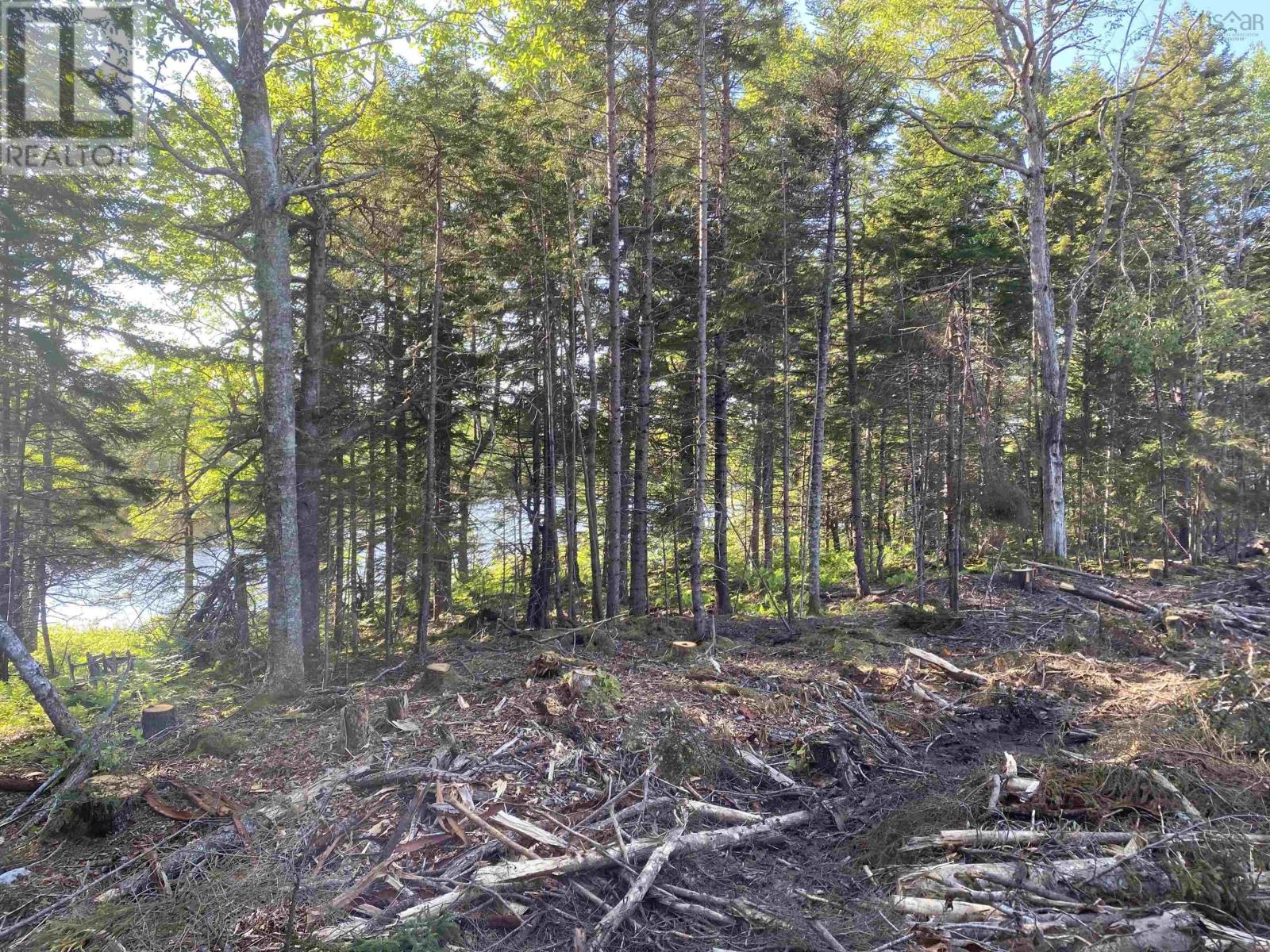 Lot Bull Lake Road, Concession, Nova Scotia  B0W 1M0 - Photo 11 - 202500521