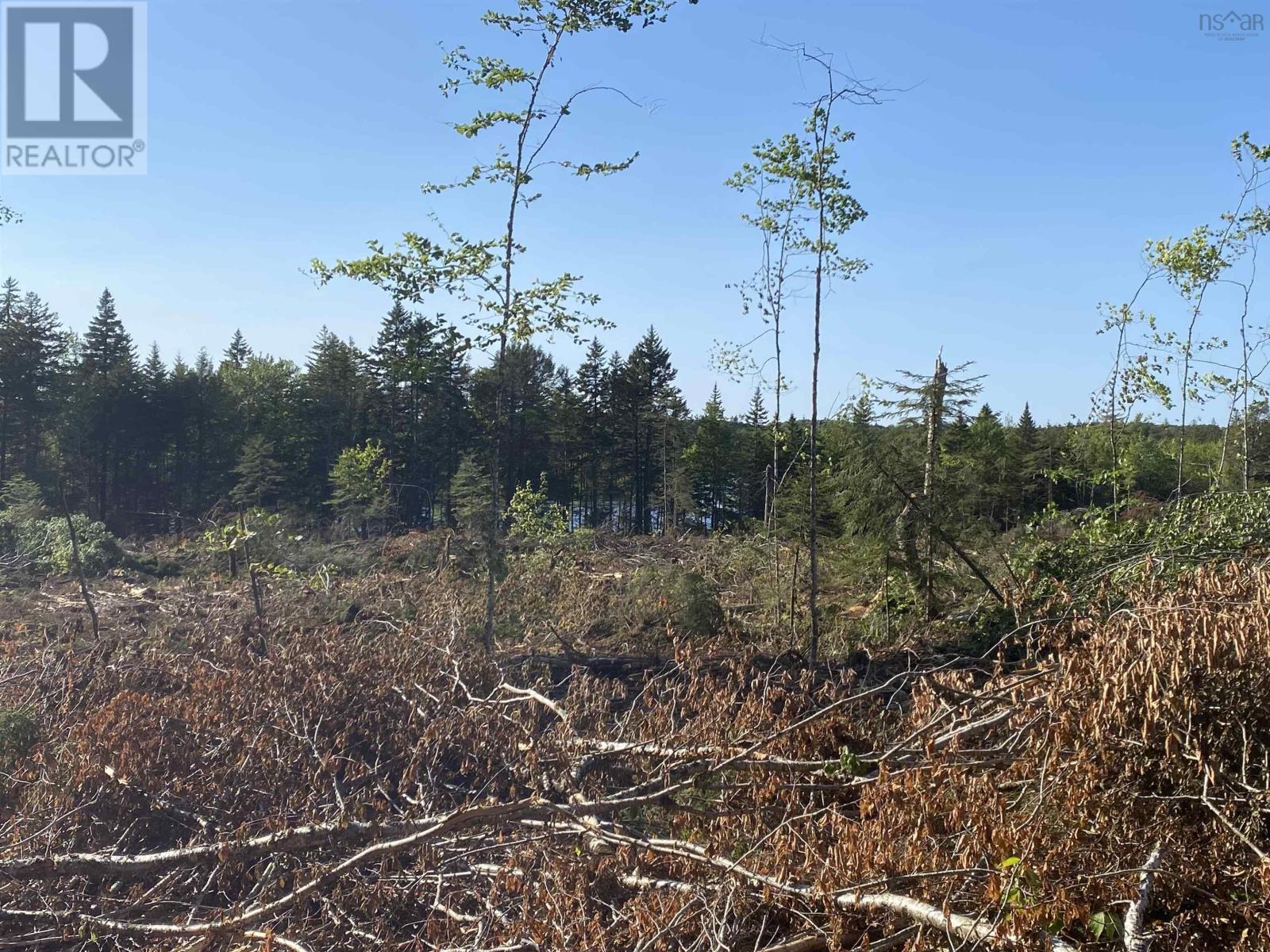 Lot Bull Lake Road, Concession, Nova Scotia  B0W 1M0 - Photo 12 - 202500521