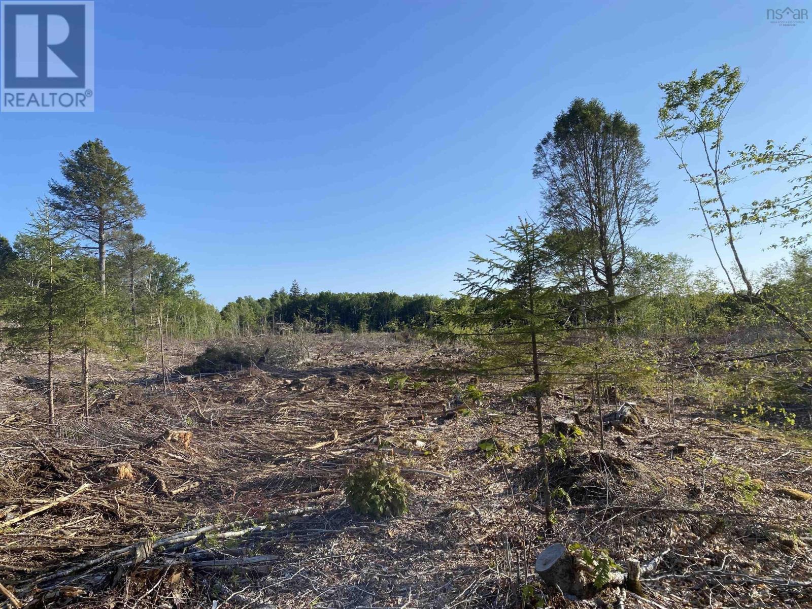 Lot Bull Lake Road, Concession, Nova Scotia  B0W 1M0 - Photo 17 - 202500521