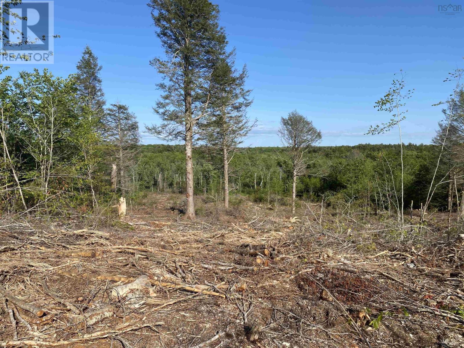 Lot Bull Lake Road, Concession, Nova Scotia  B0W 1M0 - Photo 19 - 202500521