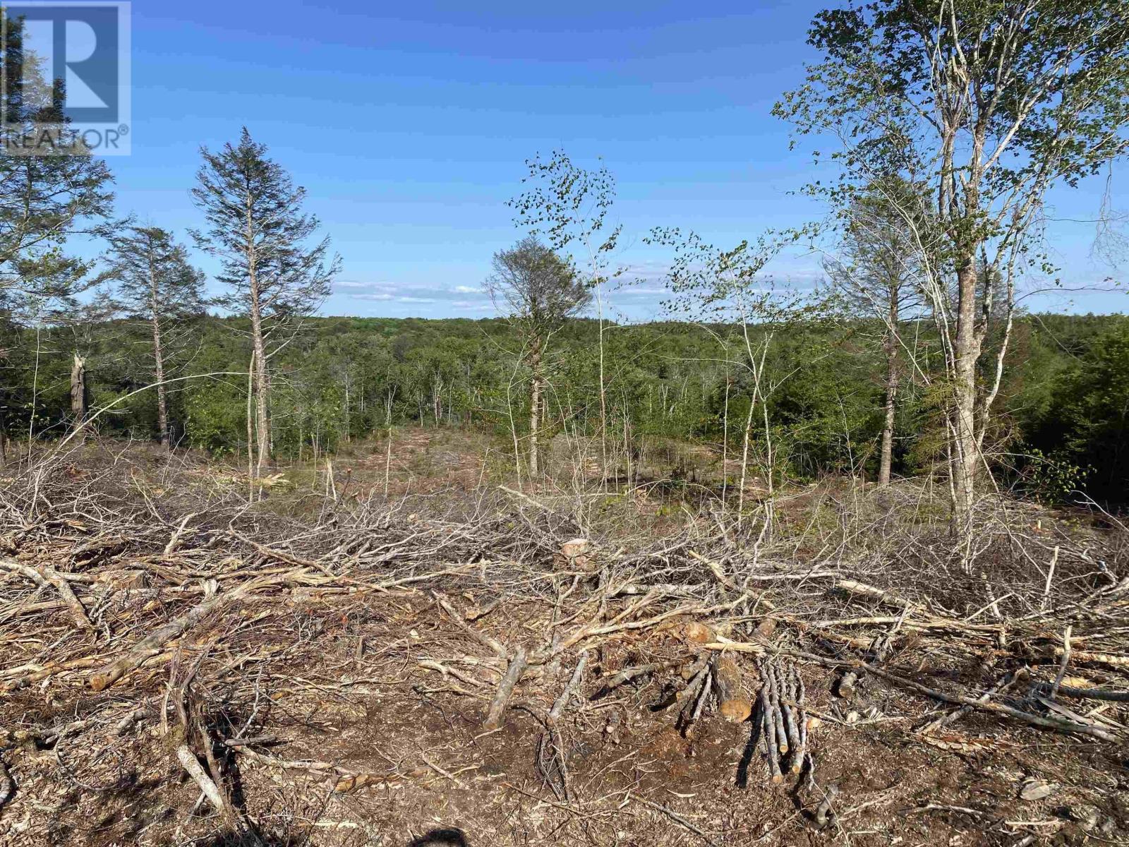 Lot Bull Lake Road, Concession, Nova Scotia  B0W 1M0 - Photo 20 - 202500521