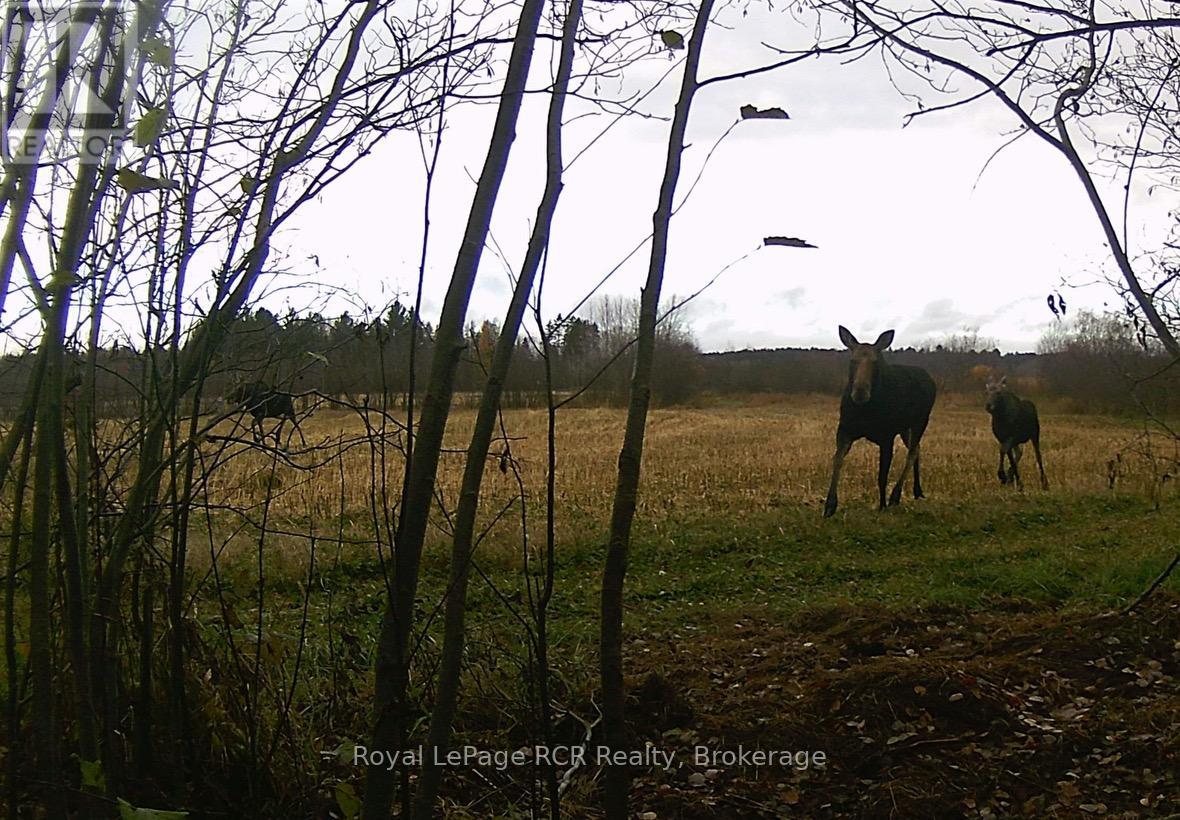 24 Laplage Road, West Nipissing, Ontario  P0H 2M0 - Photo 20 - X11915434