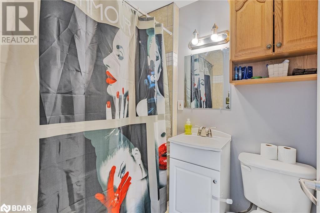 293 Matchedash Street N, Orillia, Ontario  L3V 4W1 - Photo 6 - 40689137