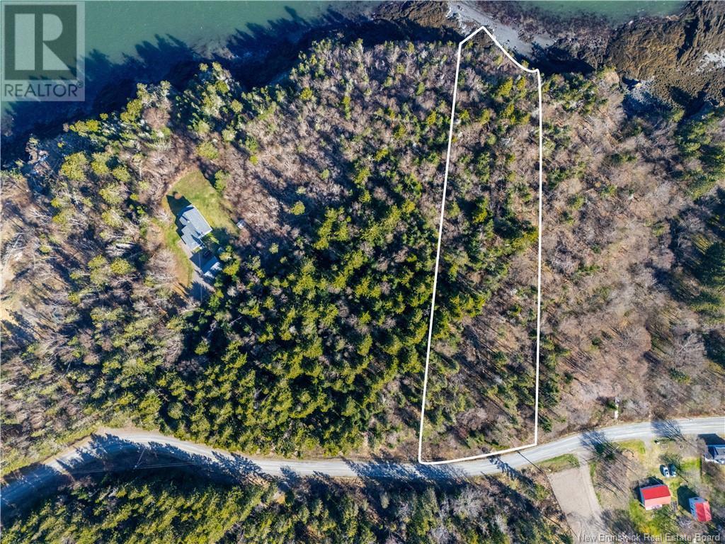 Lot 2 Lighthouse Road, Campobello Island, New Brunswick  E5E 2C1 - Photo 4 - NB111004