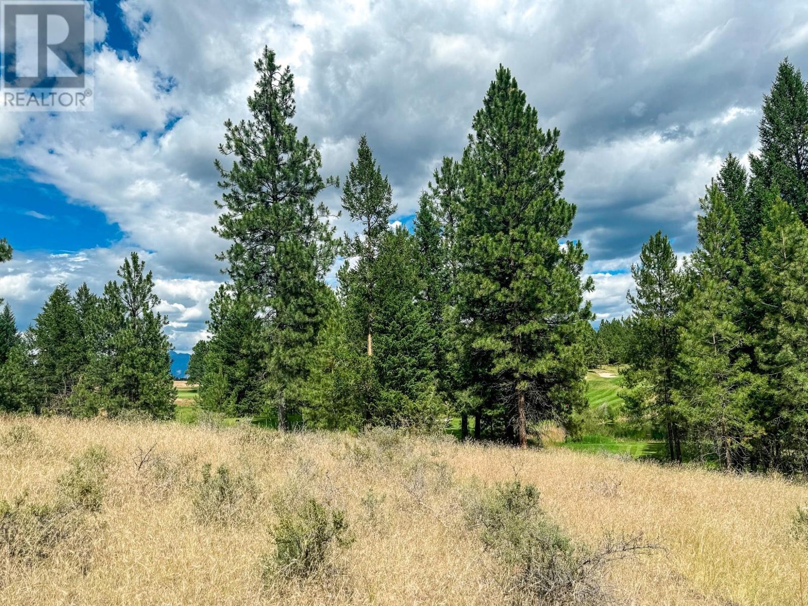 337 Corral Close, Cranbrook, British Columbia  V1C 0C2 - Photo 9 - 2478243