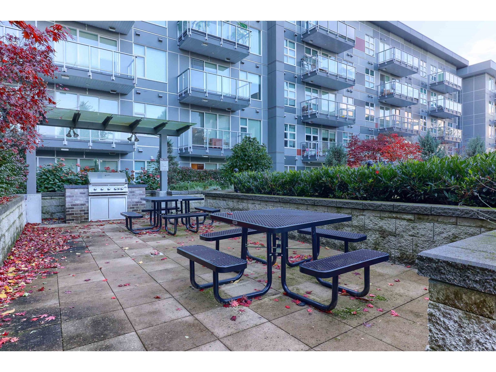 301 10838 Whalley Boulevard, Surrey, British Columbia  V3R 0G8 - Photo 7 - R2953501
