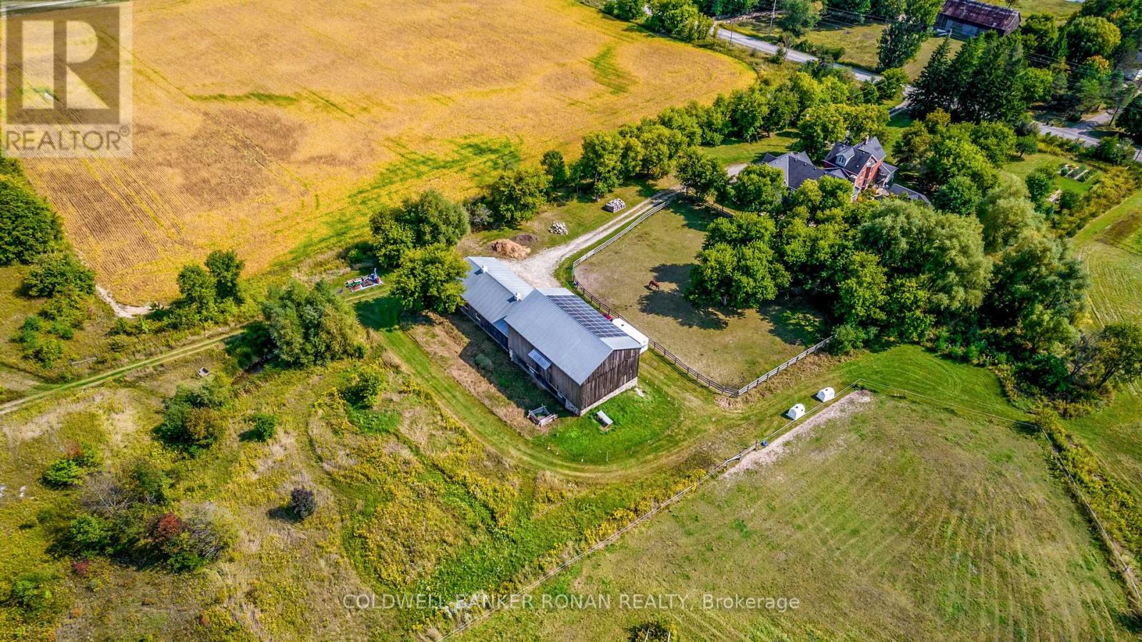 6872 7th Line, New Tecumseth, Ontario  L0G 1A0 - Photo 2 - N11915981