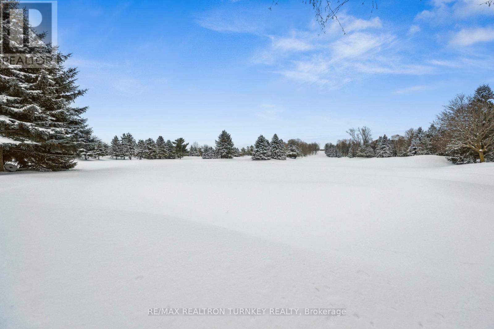 32 - 42 Sunset Boulevard, New Tecumseth, Ontario  L9R 1Z5 - Photo 37 - N11916092