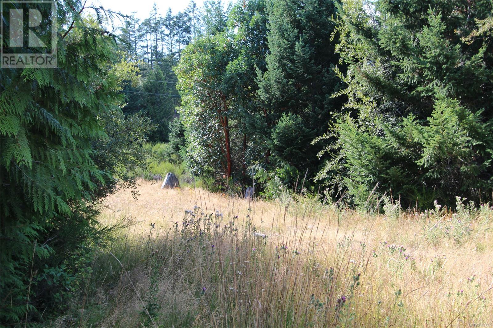 Lot 29 Goldstream Heights Dr, Shawnigan Lake, British Columbia  V0R 2L0 - Photo 12 - 983880