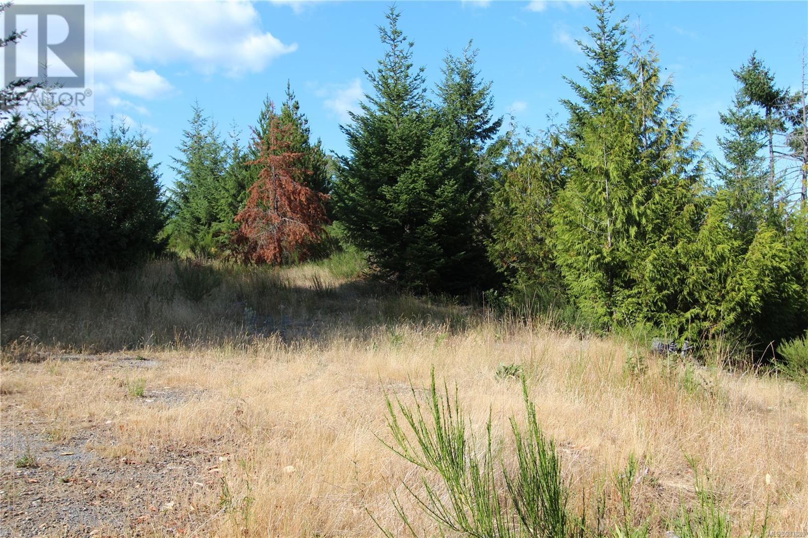 Lot 29 Goldstream Heights Dr, Shawnigan Lake, British Columbia  V0R 2L0 - Photo 13 - 983880