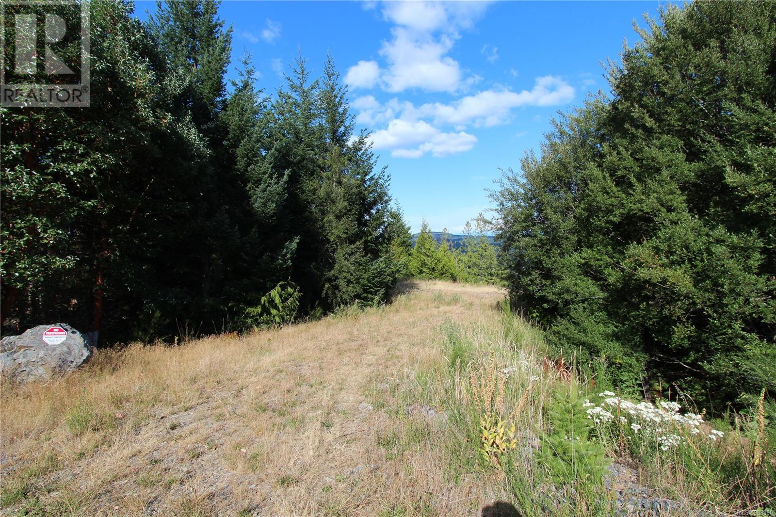 Lot 29 Goldstream Heights Dr, Shawnigan Lake, British Columbia  V0R 2L0 - Photo 3 - 983880