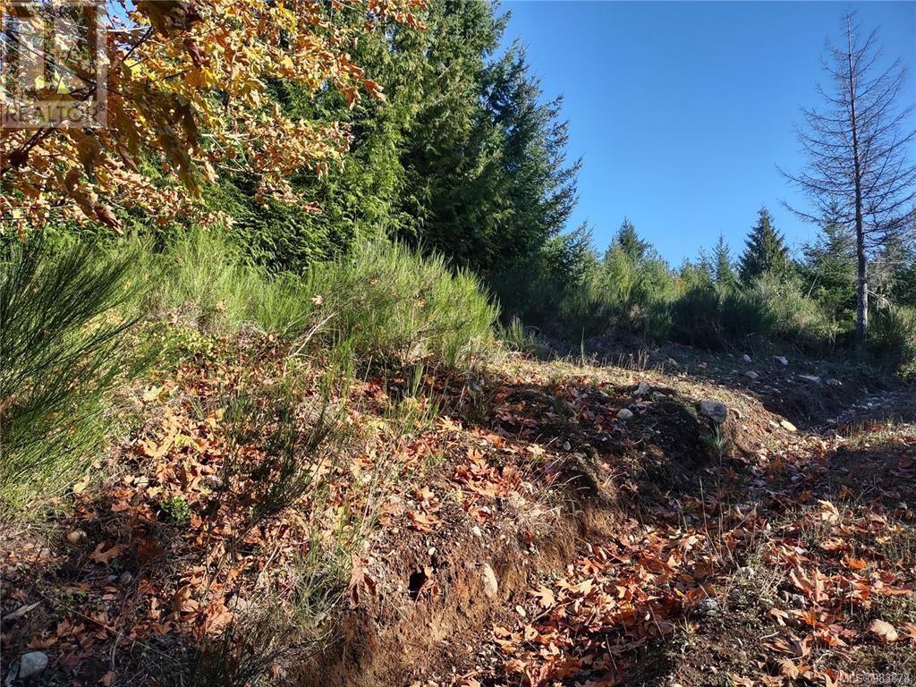 Lot 11 Goldstream Heights Dr, Shawnigan Lake, British Columbia  V0R 2W3 - Photo 10 - 983878