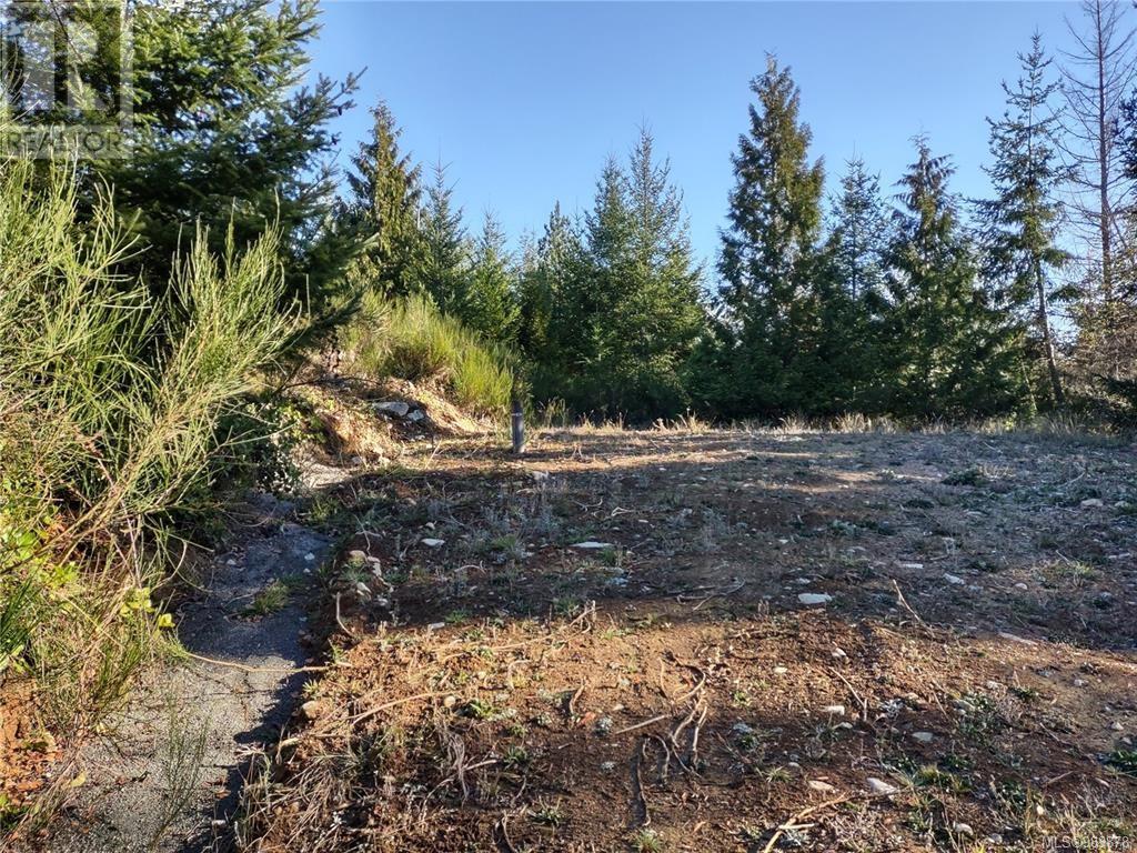 Lot 11 Goldstream Heights Dr, Shawnigan Lake, British Columbia  V0R 2W3 - Photo 12 - 983878