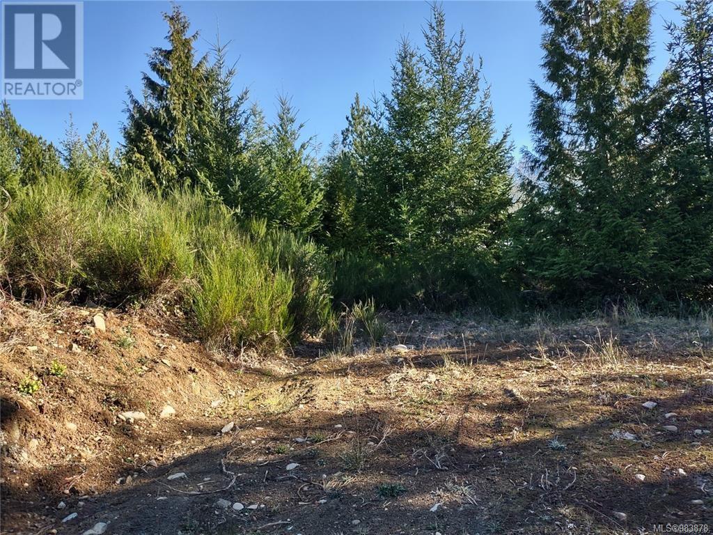 Lot 11 Goldstream Heights Dr, Shawnigan Lake, British Columbia  V0R 2W3 - Photo 14 - 983878