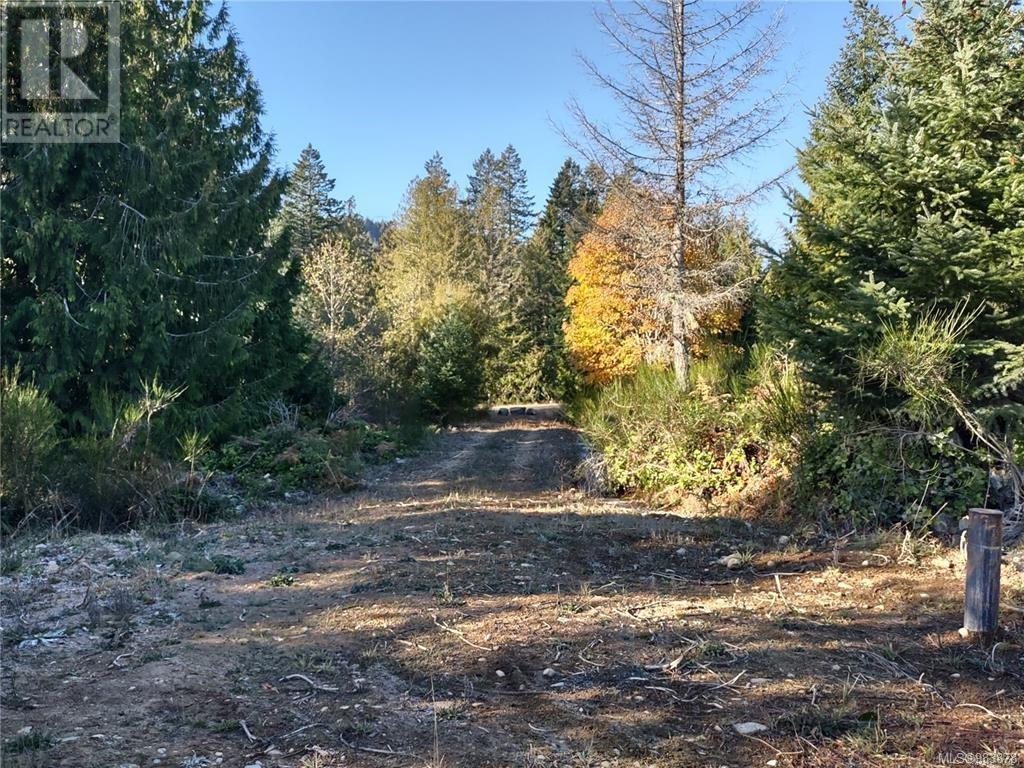 Lot 11 Goldstream Heights Dr, Shawnigan Lake, British Columbia  V0R 2W3 - Photo 16 - 983878