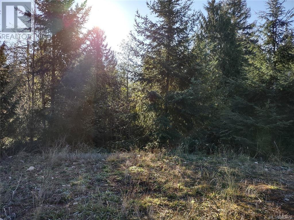 Lot 11 Goldstream Heights Dr, Shawnigan Lake, British Columbia  V0R 2W3 - Photo 17 - 983878