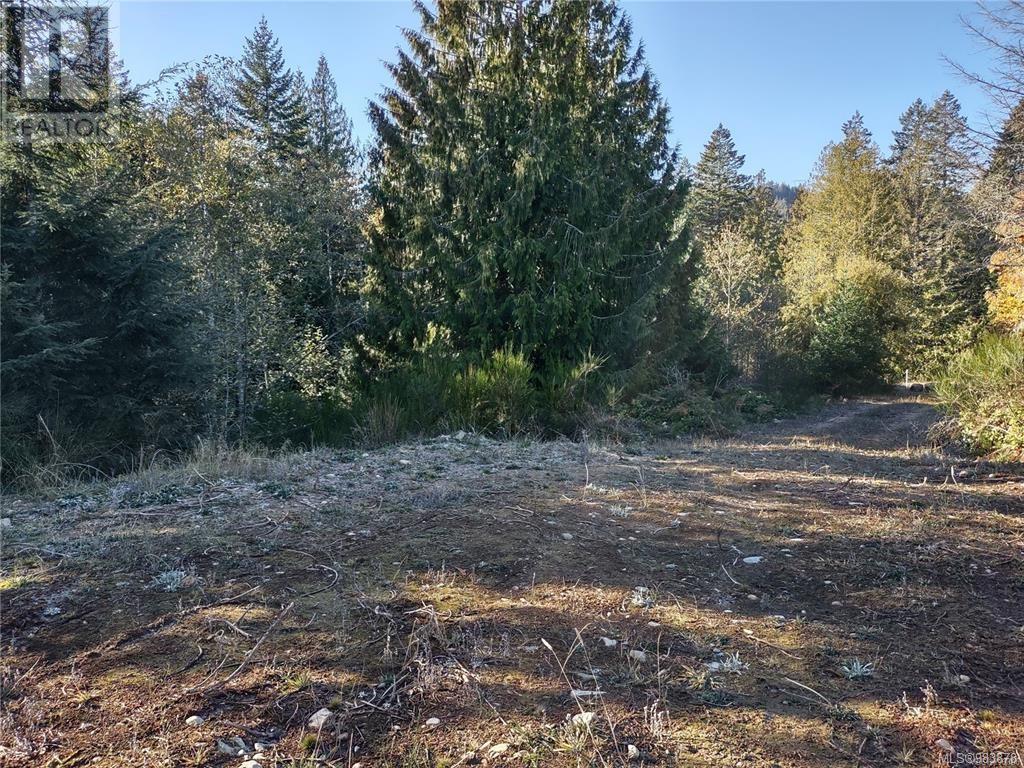 Lot 11 Goldstream Heights Dr, Shawnigan Lake, British Columbia  V0R 2W3 - Photo 18 - 983878