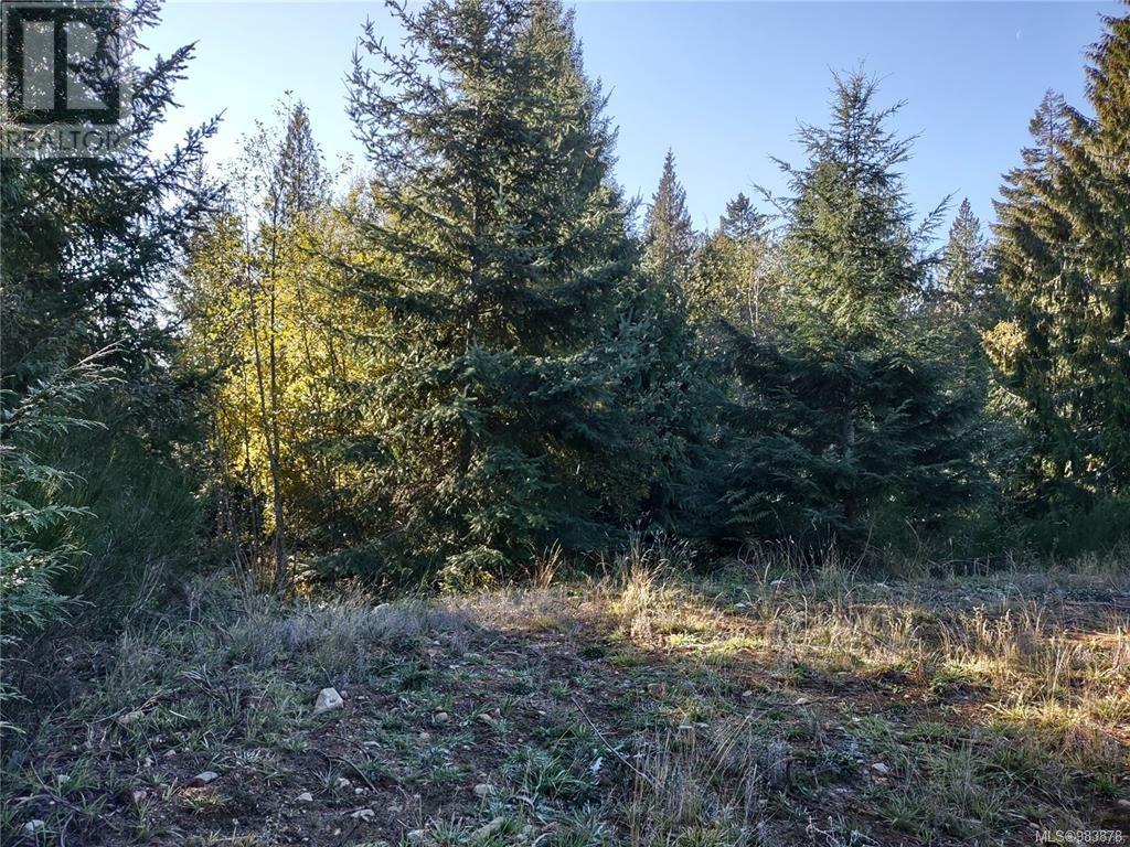 Lot 11 Goldstream Heights Dr, Shawnigan Lake, British Columbia  V0R 2W3 - Photo 19 - 983878