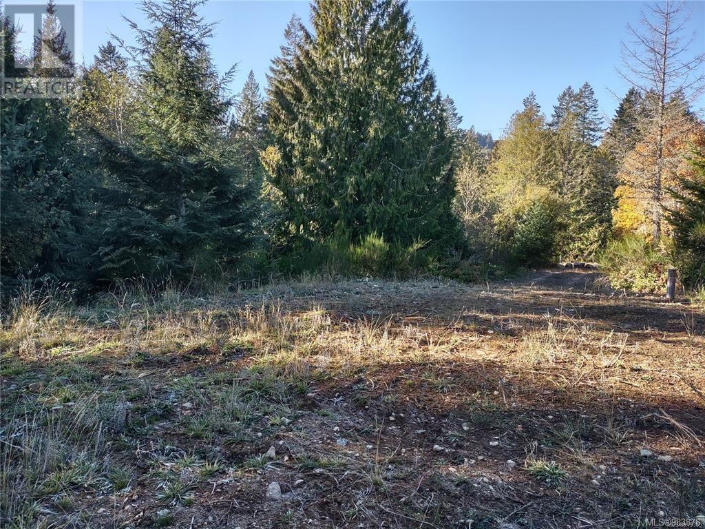 Lot 11 Goldstream Heights Dr, Shawnigan Lake, British Columbia  V0R 2W3 - Photo 20 - 983878