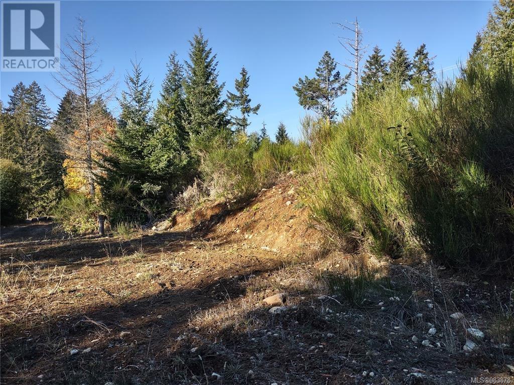 Lot 11 Goldstream Heights Dr, Shawnigan Lake, British Columbia  V0R 2W3 - Photo 21 - 983878