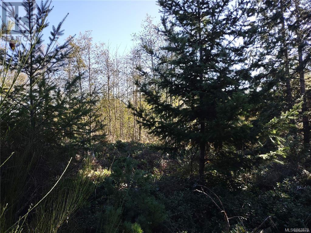 Lot 11 Goldstream Heights Dr, Shawnigan Lake, British Columbia  V0R 2W3 - Photo 22 - 983878