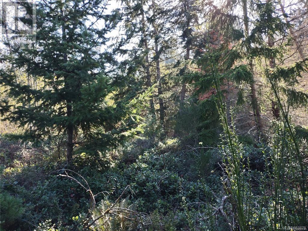 Lot 11 Goldstream Heights Dr, Shawnigan Lake, British Columbia  V0R 2W3 - Photo 23 - 983878