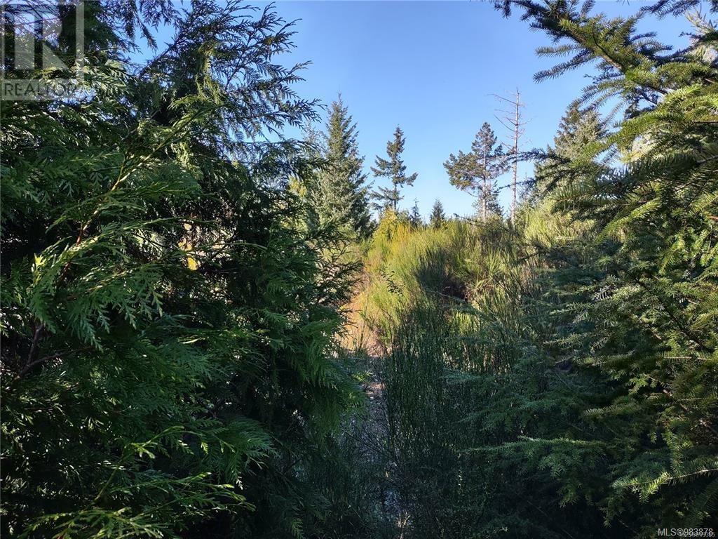 Lot 11 Goldstream Heights Dr, Shawnigan Lake, British Columbia  V0R 2W3 - Photo 25 - 983878