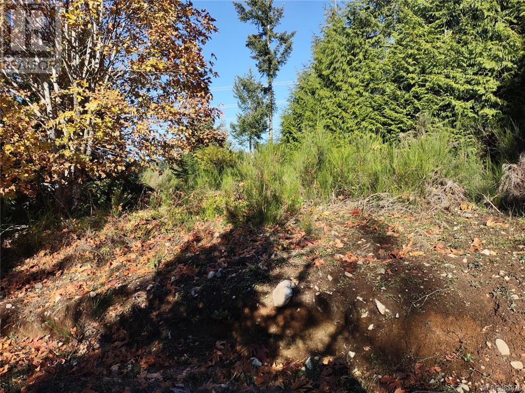 Lot 11 Goldstream Heights Dr, Shawnigan Lake, British Columbia  V0R 2W3 - Photo 29 - 983878
