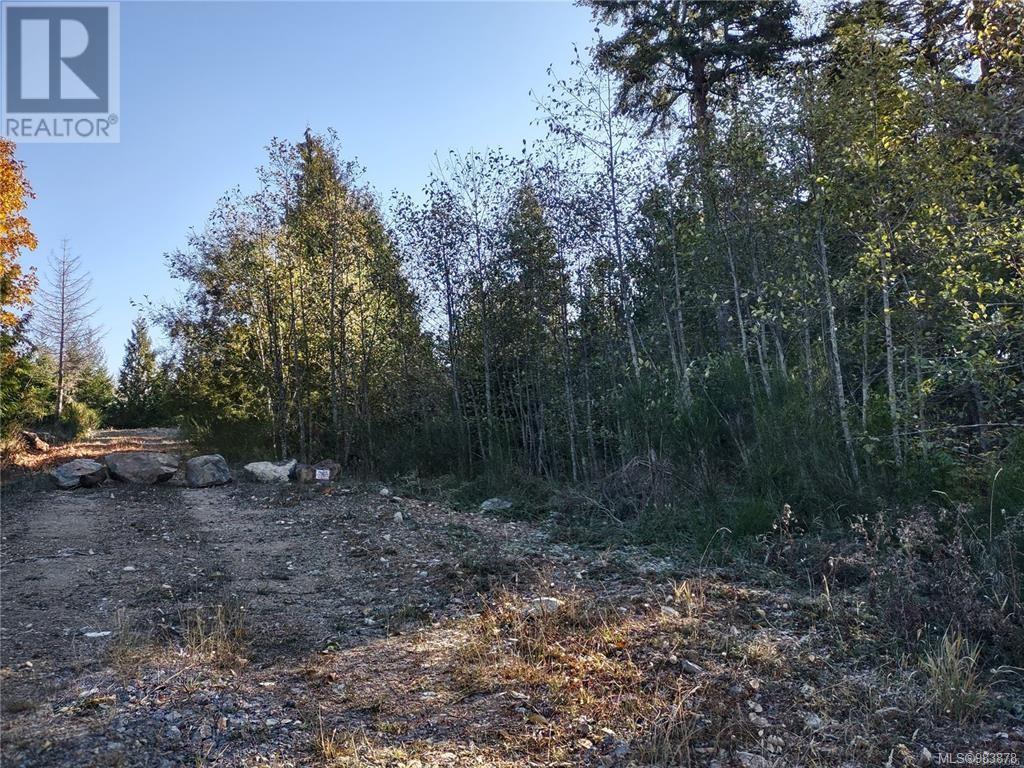 Lot 11 Goldstream Heights Dr, Shawnigan Lake, British Columbia  V0R 2W3 - Photo 5 - 983878