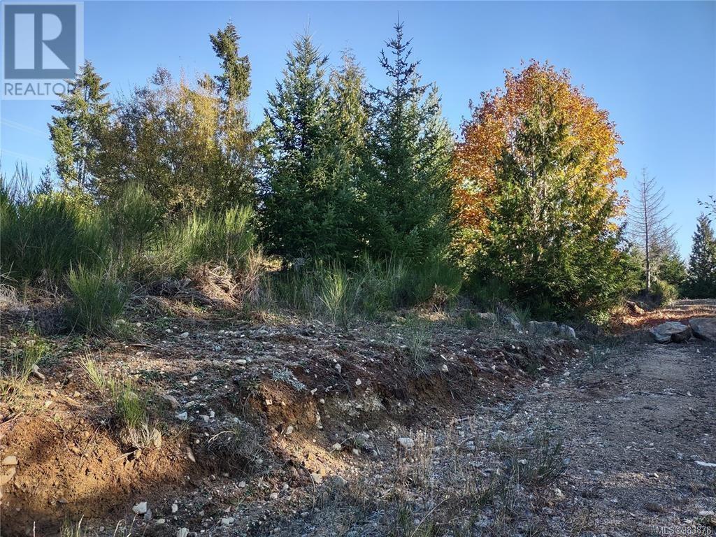 Lot 11 Goldstream Heights Dr, Shawnigan Lake, British Columbia  V0R 2W3 - Photo 6 - 983878