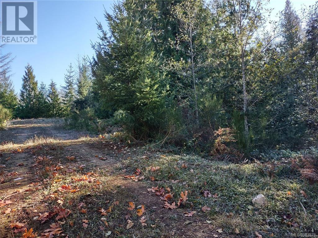 Lot 11 Goldstream Heights Dr, Shawnigan Lake, British Columbia  V0R 2W3 - Photo 7 - 983878