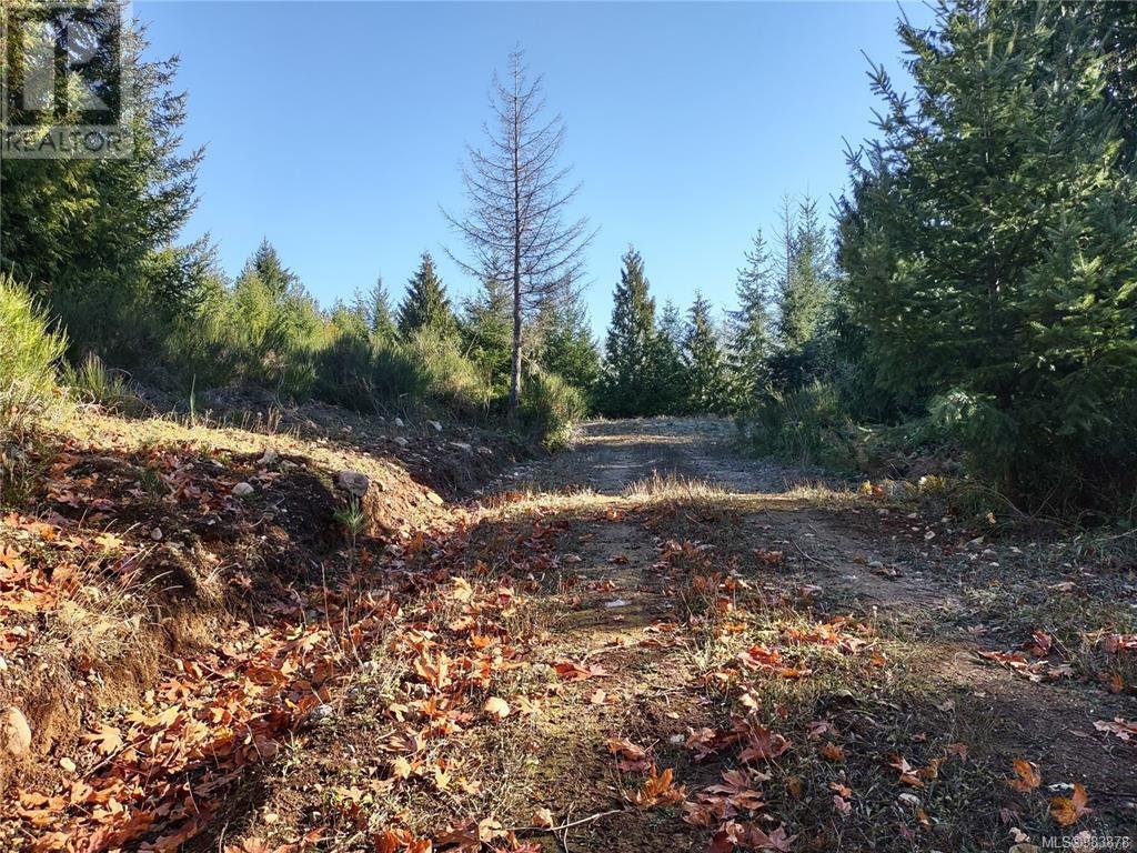 Lot 11 Goldstream Heights Dr, Shawnigan Lake, British Columbia  V0R 2W3 - Photo 8 - 983878