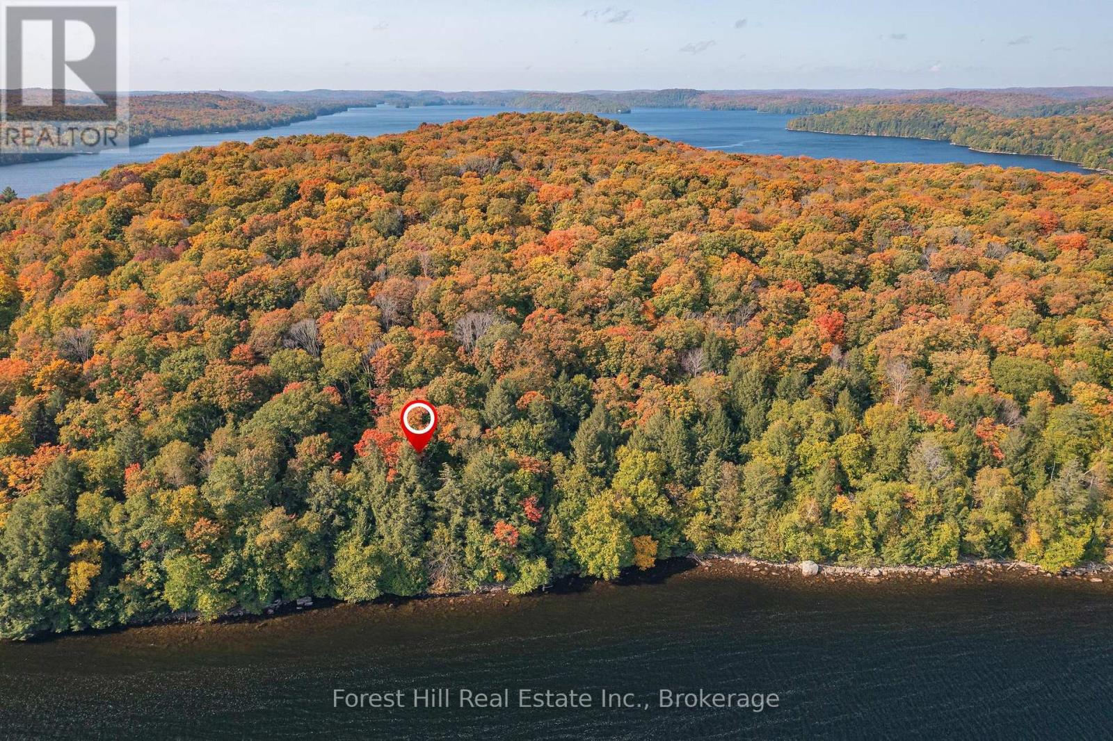 0 Bear Island, Dysart Et Al, Ontario  P0A 1E0 - Photo 6 - X11901872