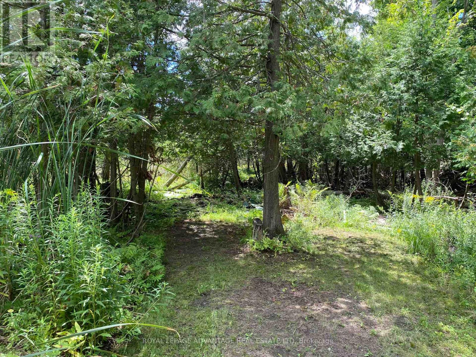 14289 Highway 15 Road, Merrickville-Wolford, Ontario  K0G 1N0 - Photo 5 - X11916553