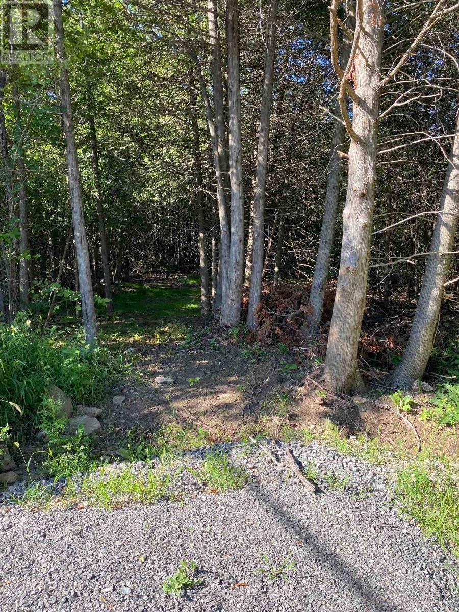 14289 Highway 15 Road, Merrickville-Wolford, Ontario  K0G 1N0 - Photo 9 - X11916553
