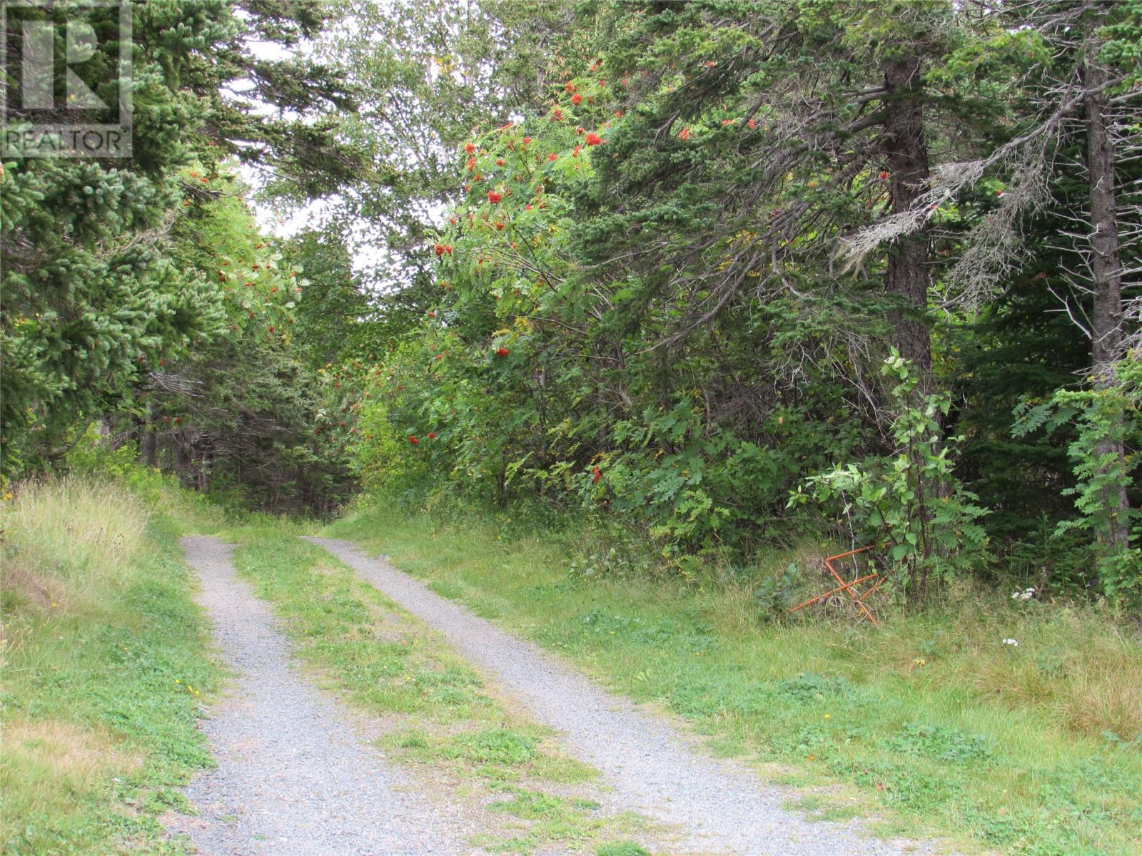 54 C Point Road Unit#c, Chapel's Cove, Newfoundland & Labrador  A0A 1V0 - Photo 10 - 1280736