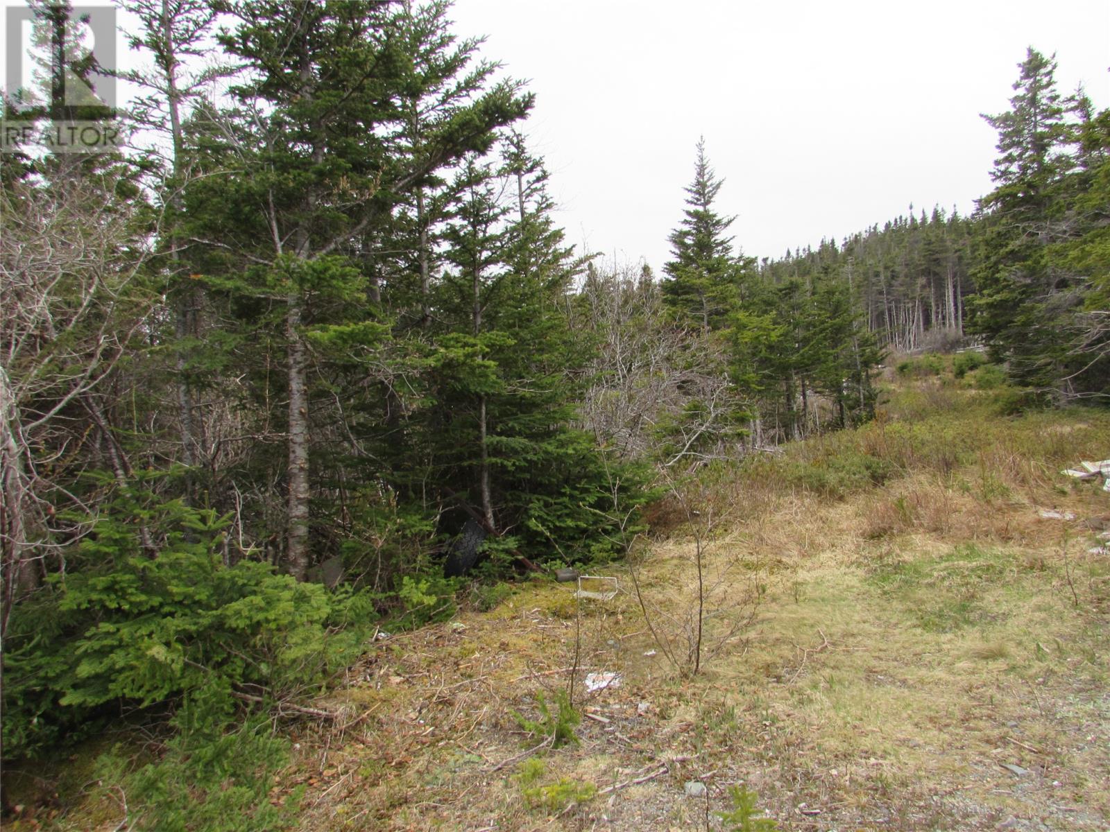 6 Country Lane, Conception Harbour, Newfoundland & Labrador