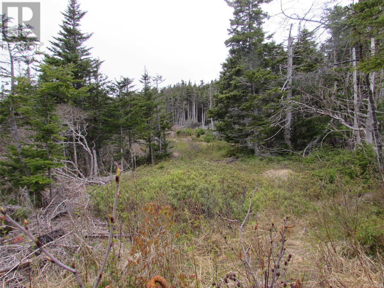 6 Country Lane, Conception Harbour, Newfoundland & Labrador  A0A 1Z0 - Photo 2 - 1280737